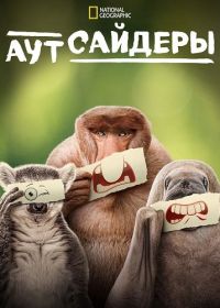 Аутсайдеры (2025)