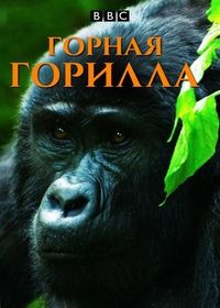 BBC: Горная горилла (2010)
