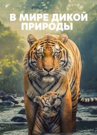 В мире дикой природы (2025)