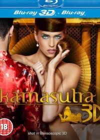 Камасутра 3D (2012)