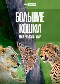 Большие кошки, маленький мир (2024)