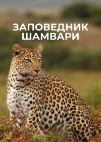 Заповедник Шамвари (2018)