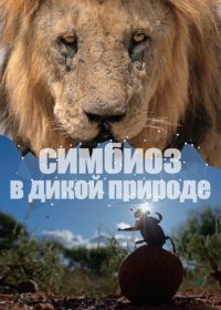 Симбиоз в дикой природе (2023)