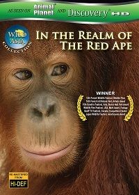 Дикая Азия: В царстве рыжей обезьяны (2009)
