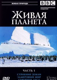 BBC: Живая планета (1984)
