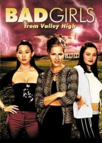 Плохие девчонки из высокой долины (2005)