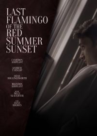 Последний фламинго красного летнего заката (2024)