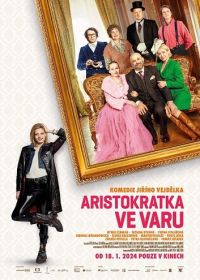 Переменчивая аристократка (2024)