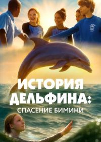 История Дельфина: Спасение Бимини (2025)