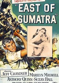 К востоку от Суматры (1953)