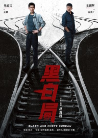 Игра в чёрное и белое (2025)