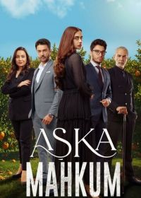 Заключенный любви (2025)
