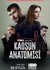 Анатомия хаоса (2025)