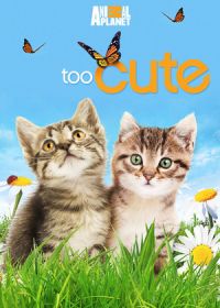 Симпатичные котята и щенки (2011)