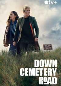 По кладбищенской дороге (2025)