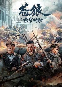 Операция "Отчаянный Волк" (2023)