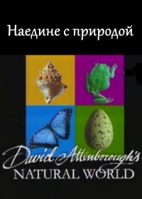 Наедине с природой (2000)