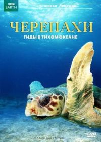 Черепахи: Гиды в Тихом океане (2008)
