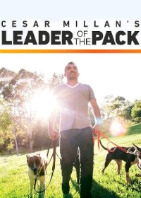 Вожак стаи (2012)