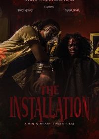 Инсталляция (2025)