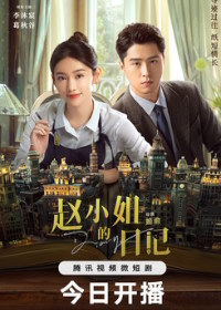 Дневник госпожи Чжао (2024)