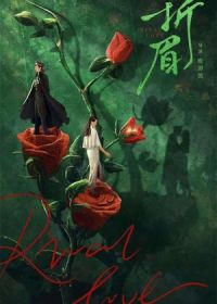 Соперническая любовь (2024)