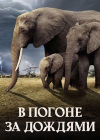В погоне за дождями (2022)