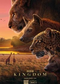 Царство животных (2025)