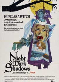 Ночь тёмных теней (1971)