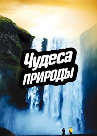 Чудеса природы (2012)
