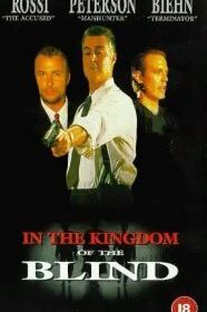 Королевство слепых (1995)