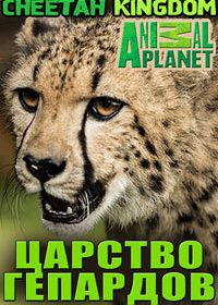 Царство гепардов (2010)