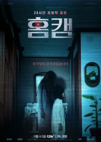 Домашняя камера (2025)