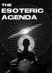 Тайный план (2008)