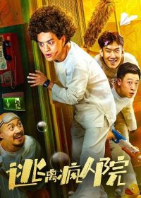 Побег из психушки (2024)