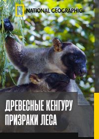 Древесные кенгуру: Призраки леса (2022)