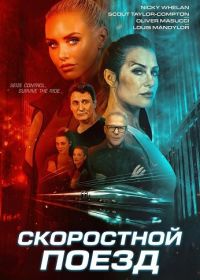 Скоростной поезд (2025)