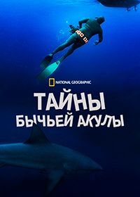 Тайны бычьей акулы (2020)