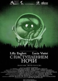 С наступлением ночи (2025)
