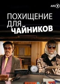 Похищение для чайников (2024)