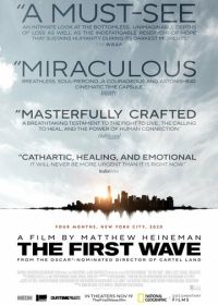 Первая волна (2021)