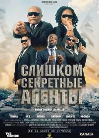 Слишком секретные агенты (2025)