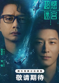 Лабиринт сверхчувственных ощущений (2025)