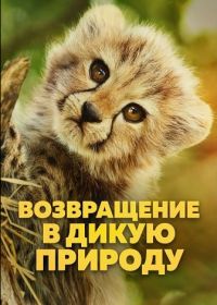 Возвращение в дикую природу (2025)