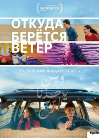 Откуда берётся ветер / Откуда дует ветер (2025)