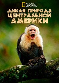 Дикая природа Центральной Америки (2020)