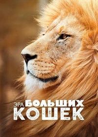 Эра больших кошек (2018)
