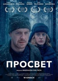 Просвет (2025)