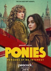 Пони (2026)