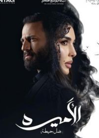 Принцесса (2025)